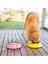 Mavi Stil Xl Beden S-3xl Köpek Kaseleri Paslanmaz Çelik Seyahat Ayak Izi Besleme Besleyici Su Kasesi Büyük Köpekler Için Besleme Çanak Fit Tüm Pet Yavru Kedi Kase (Yurt Dışından) 4