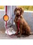 Sarı Stil 1000ML 17.5X7CM ml Pet Katlanır Silikon Kase Büyük Katlanabilir Açık Seyahat Taşınabilir Köpek Mama Kabı Besleyici Çanak Kase (Yurt Dışından) 5