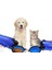 No.7 Tarzı Taşınabilir Pet Köpek Küçük Büyük Köpekler Için Su Şişesi Seyahat Yavru Kedi Içme Kabı Açık Pet Su Sebili Besleyici Pet Ürün (Yurt Dışından) 3
