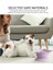 No.4 Tarzı Pet Mama Tepsisi Köpek Maması Havzası Yumuşak Silikon Alt Vantuz Su Geçirmez Kaymaz Sızdırmaz Su Kasesi Kedi ve Köpek Besleyiciler (Yurt Dışından) 3