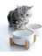 1 Adet Gri Tarzı 850ML Kedi Köpek Ebru Seramik Çift Kase Köpek Kedi Yavrusu Su Gıda Içme Besleyici Küçük Hayvan Dispenseri Işlevli Pet Ürün (Yurt Dışından) 4