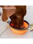 350ML Turuncu Stil Katlanabilir Köpek Kasesi Seyahat Açık Taşınabilir Silikon Büyük Su Mama Kasesi Katlanabilir Köpek Pet Köpek Için Katlanabilir Pet Besleyici (Yurt Dışından) 5