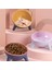Pembe Tarzı Yükseltilmiş Eğik Yüksek Kase Pet Kedi Köpek Maması Su Tabağı Geri Akışı Önleme Besleme Dağıtıcı Konteyner Pet Konfor Besleme Kabı (Yurt Dışından) 4