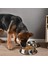 Gümüş Tarzı M Alt Çap. 18CM Gıda ve Su Için Kauçuk Tabanlı Paslanmaz Çelik Köpek Kasesi Pet Gıda Konteyneri Küçük Orta Boy Köpekler Veya Kediler Için Mükemmel Seçim (Yurt Dışından) 4
