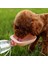 Gök Mavisi Tarzı Köpek Seyahat Su Şişesi Taşınabilir Pet Köpek Su Şişesi Köpek Kedi Için Içme Suyu Besleyici Açık Su Kase Şişe Pet Malzemeleri (Yurt Dışından) 2