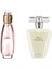 Celebre Edt 50 ml Kadın + Rare Pearls Edp 50 ml Kadın Ikili Set 1