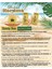 Güneş Koruyucu Spf 50 Sprey 147 ml Plaj Havlusu Hediyeli 3