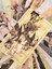 Bir Stil Hush Tarot Için Oracle Tarot Kartları Tam Ingilizce Versiyonu Masa Oyunları Oracle Kartları Tarot Güverte Kart Oyunu Kartları Oyunları Masa Oyunları (Yurt Dışından) 4