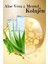 Aloe Vera&mentol&kolajen Kepeğe Karşı Etkili Şampuan 3X500 ml 4
