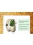 Kadın Analog Klasik Quartz SAAT(GP8702) (Yurt Dışından) 2