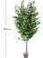 Yapay Ficus Ağacı Tek Gövde Yeşil 200 Cm. 3