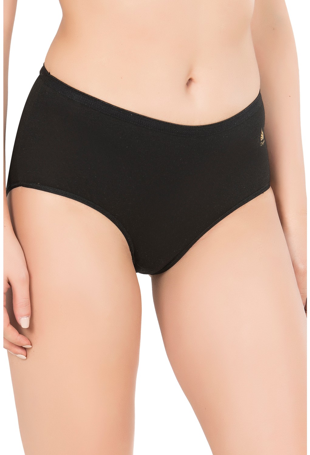 Özkan Underwear Özkan 23922 3'lü Paket Kadın Pamuklu Modal Esnek Yumuşak Yüksek Bel Bato Külot görsel 5