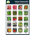 Tohum Seç Sebze Tohum Seti, 20 Çeşit, 1.000+ Adet Sebze Tohum Seti, Avantajlı Tohum Seti