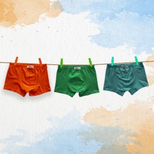 Likrax 3'lü Erkek Çocuk Boxer ( Mint - Turuncu - Yeşil )