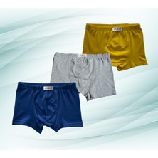 Likrax 3'lü Erkek Çocuk Boxer ( Saks Mavi - Gri - Sarı )