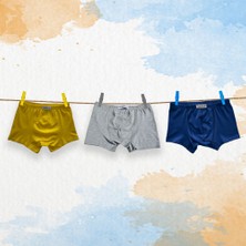 Likrax 3'lü Erkek Çocuk Boxer ( Saks Mavi - Gri - Sarı )