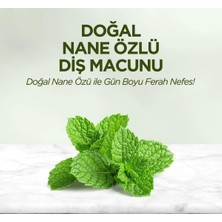 Eyüp Sabri Tuncer Doğal Nane Özlü Diş Macunu 90 ml 3 Adet