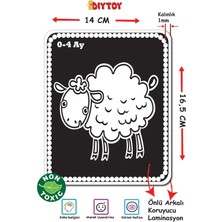 Diytoy Flash Cards Bebeğimin Ilk Zeka Kartları Eğitici Oyun