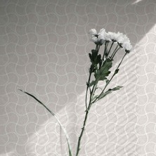 Adawall Omega Koleksiyonu 23201-2 Duvar Kağıdı