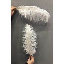 Krem Deve Kuşu Tüyü 25-30 cm 1 adet
