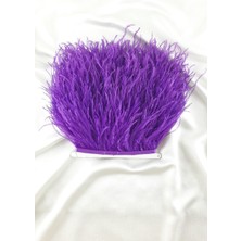 Mor Deve Kuşu Tüyü