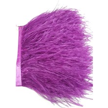 Açık Mor Deve Kuşu Tüyü 1 mt