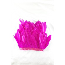 Fuşya Kartal Tüyü