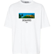Jack & Jones Erkek T-Shirt Beyaz 12255639