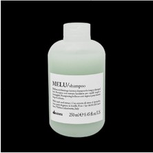 Davines Melu Düzleştirici/fön Makinası Etkisinden Koruyan Bakım Şampuanı  *55EVA KUAFOR386