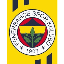 Lamba Cini Sayılarla Boyama Kasnaklı Tablo Seti Fırça Boya Dahil 40X50 Fenerbahçee