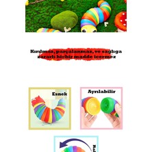 Söktak Eğlenceli, Stres ve Anksiyete Giderici Montessori Tırtıl Oyuncağı Renkli