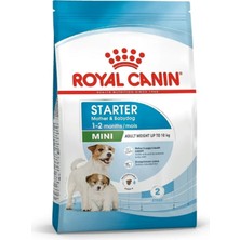 Royal Canin Mini Starter Mother & Babydog Kuru Köpek Maması 4 kg