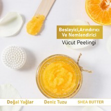 Vega Body Scrub Besleyici Arındırıcı Nemlendirici Vücut Peelingi Orange 300 gr