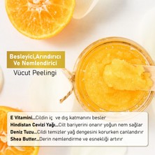 Vega Body Scrub Besleyici Arındırıcı Nemlendirici Vücut Peelingi Orange 300 gr