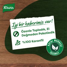 Knorr Karanfil 15G X5 Adet