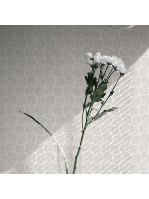 Adawall Omega Koleksiyonu 23201-2 Duvar Kağıdı