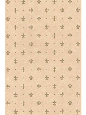 Ecce Desenli Yapışkanlı Kaplama Folyosu 45 cm x 5 Metre