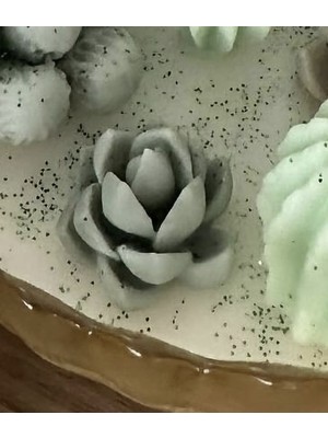 Morlalem Mini Minyatür 2,5cm Sukulent Çiçek Silikon Kalıp K-1268, Kokulu Taş Sabun Alçı Mum Kalıbı