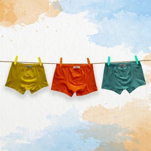 3'lü Erkek Çocuk Boxer ( Sarı - Mint - Turuncu )