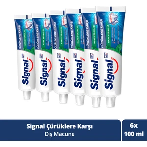 Diş Macunu Çürüklere Karşı Nane Ferahlığı 100 ml X6