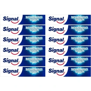 Sistem Diş Macunu 50 ml x 12 Set