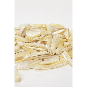 Krem Kılıç Desenli Deniz Kabuğu