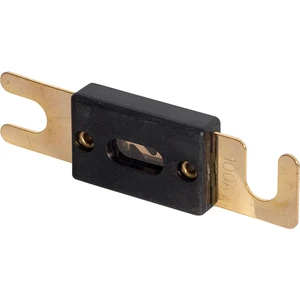 Magıcvoıce ANL100A Bıçak Oto Sigorta 100 Amper