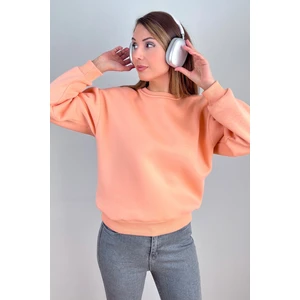 Kadın Cozy Içi Polarlı Somon Basic Bisiklet Yaka Pamuklu Kalın Örme Sweatshirt
