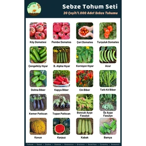 Tohum Seç Sebze Tohum Seti, 20 Çeşit, 1.000+ Adet Sebze Tohum Seti, Avantajlı Tohum Seti