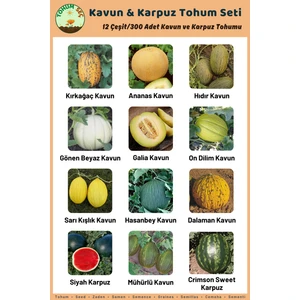 Tohum Seç Kavun & Karpuz Tohum Seti, 12 Çeşit 300+ Adet Kavun ve Karpuz Tohumu, Avantajlı Tohum Seti