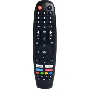 Dıjıtsu Android LED Tv Kumanda - Ses Komutsuz