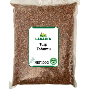 Turp Tohumu 100G - Radish Seed 100G