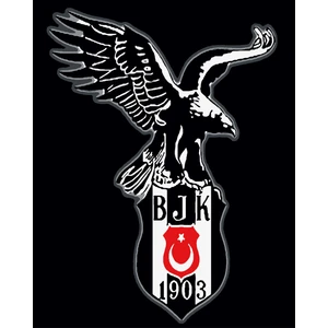Lamba Cini Sayılarla Boyama Kasnaklı Tablo Seti Fırça Boya Dahil 40X50 Bjk