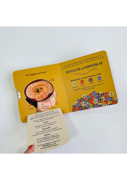 Çocuk Üniversitesi - Psikoloji: Duygular - Çağrı Odabaşı fırsatları